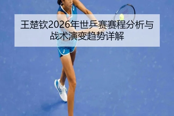 wang-chu-qin-nian-shi-ping-sai-sai-cheng-fen-xi-yu-zhan-shu-yan-bian-qu-shi-xiang-jie-2-623.jpg