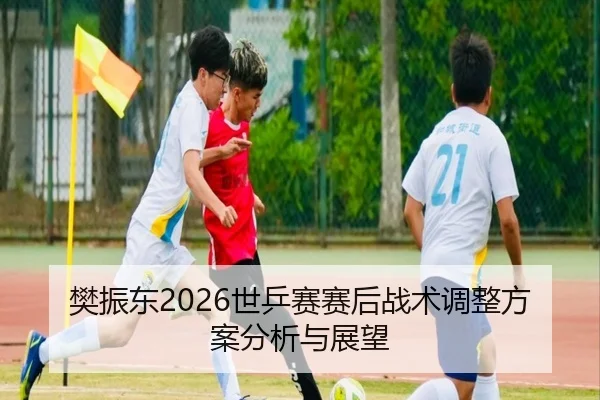 樊振东2026世乒赛赛后战术调整方案分析与展望